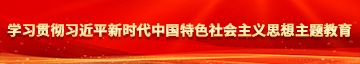 操B视频大片学习贯彻习近平新时代中国特色社会主义思想主题教育